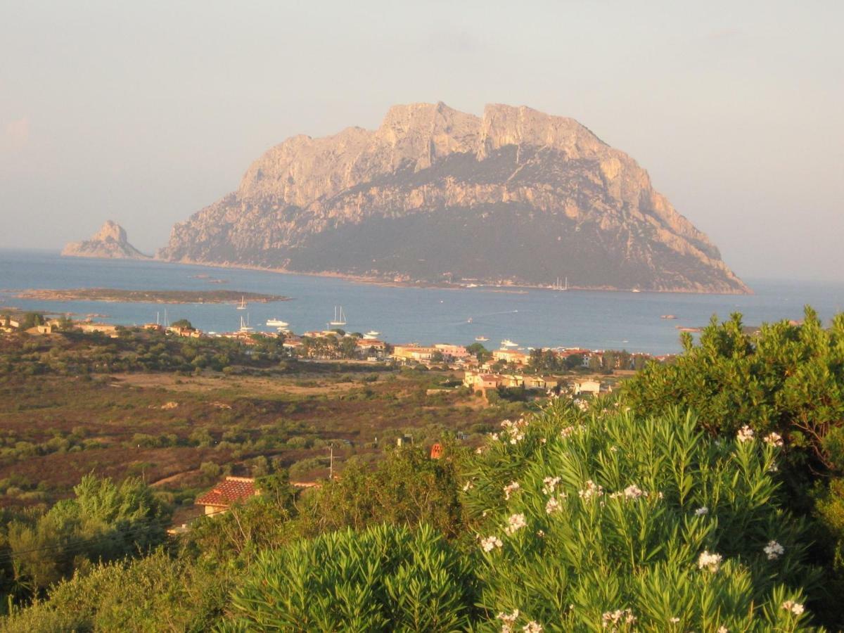 Villa Kate B&B Porto San Paolo  Exteriér fotografie