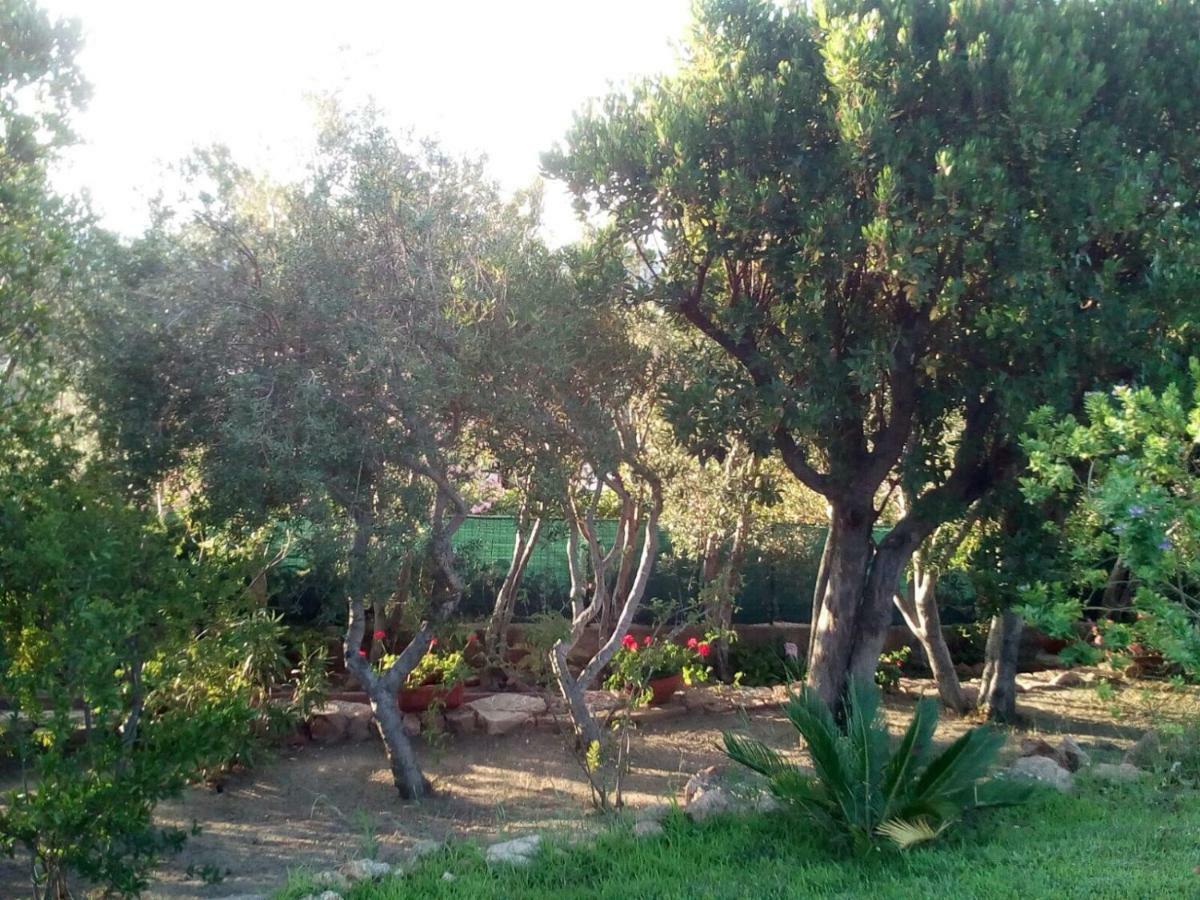 Villa Kate B&B Porto San Paolo  Exteriér fotografie